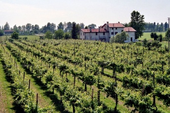 Kurz Gourmet Reise Valdobbiadene